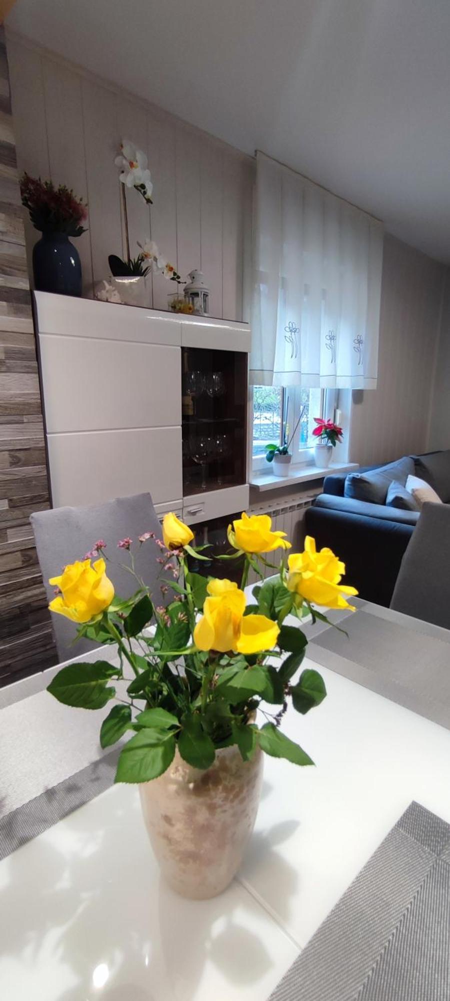 Apartma Soca Oasis Srpenica 外观 照片